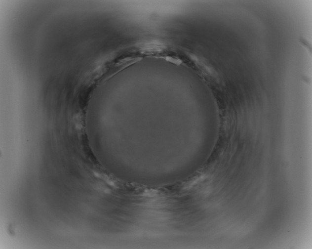 X0000097481445200803141924