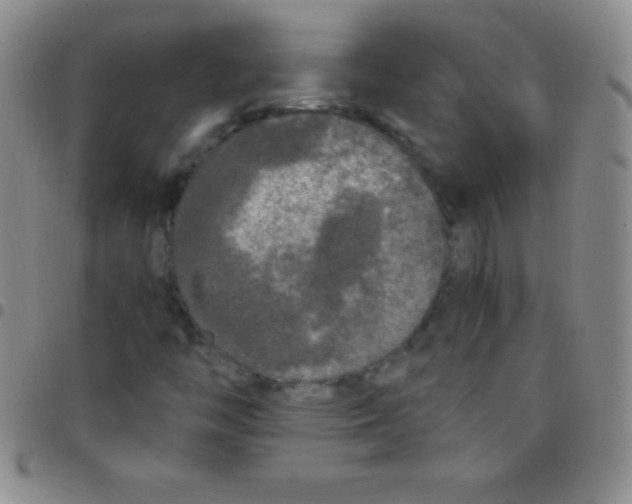 X0000097481446200803141924