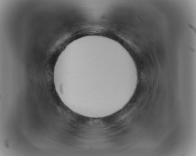 X0000097481447200803141924