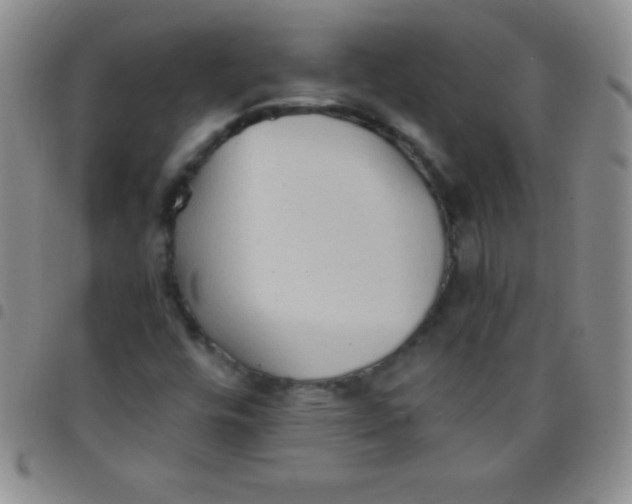 X0000097481448200803141924