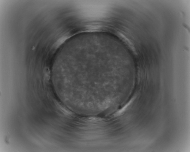 X0000097481449200803141924