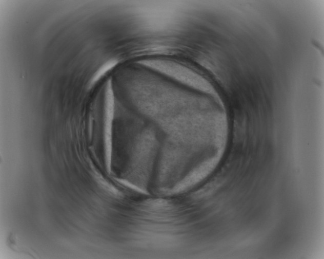 X0000097481450200803141924