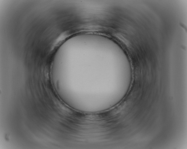 X0000097481451200803141924