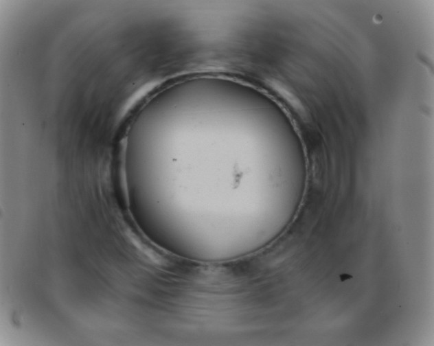 X0000097481452200803141924