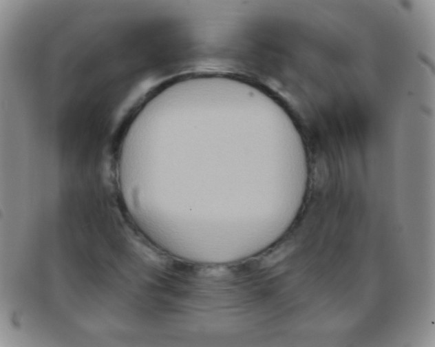 X0000097481454200803141924