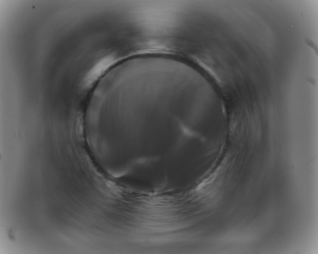 X0000097481455200803141924