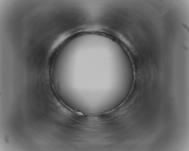 X0000097481456200803141924