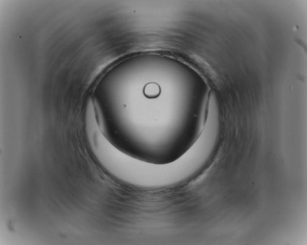 X0000097481457200803141924