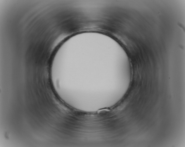 X0000097481458200803141924