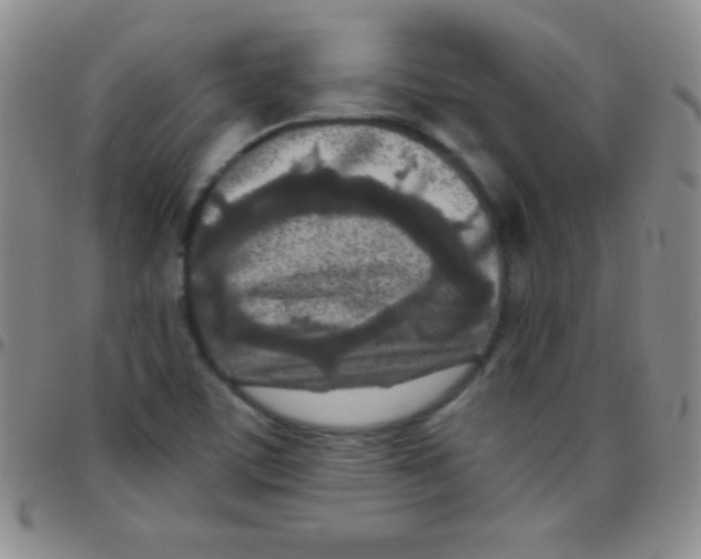 X0000097481459200803141924