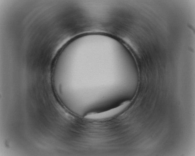 X0000097481460200803141924