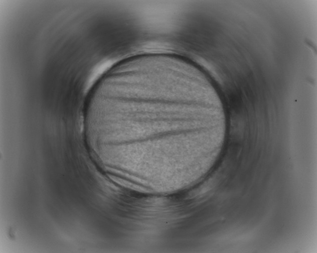 X0000097481461200803141924