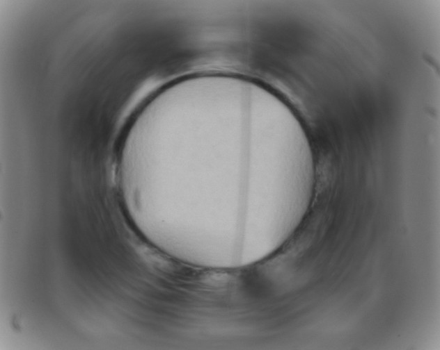 X0000097481462200803141924