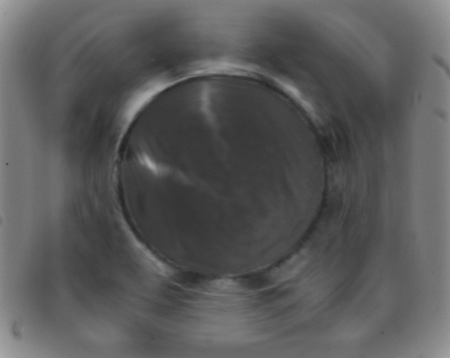 X0000097481463200803141924