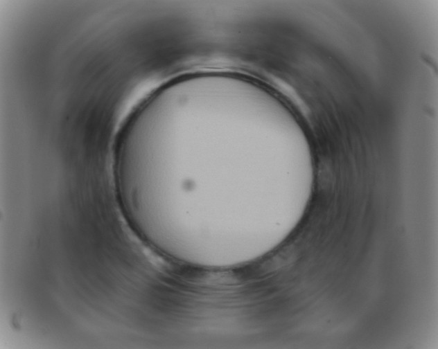 X0000097481464200803141924