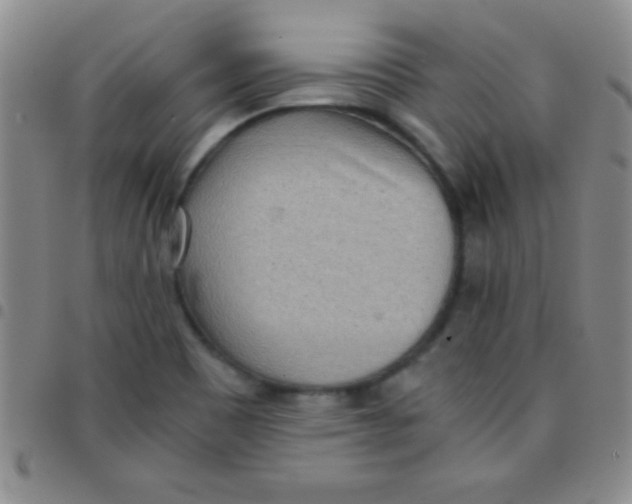 X0000097481465200803141924