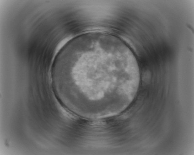 X0000097481466200803141924