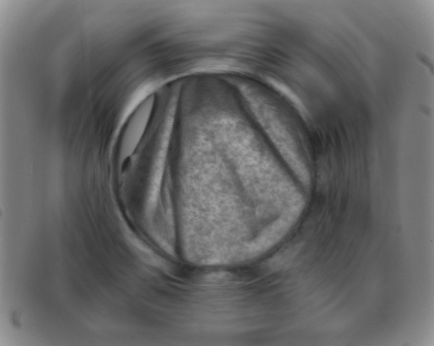 X0000097481467200803141924