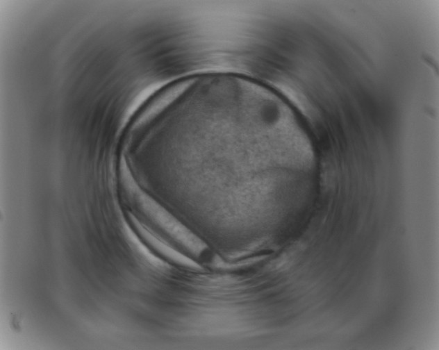 X0000097481468200803141924