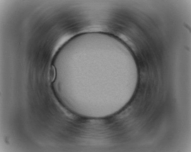 X0000097481469200803141924