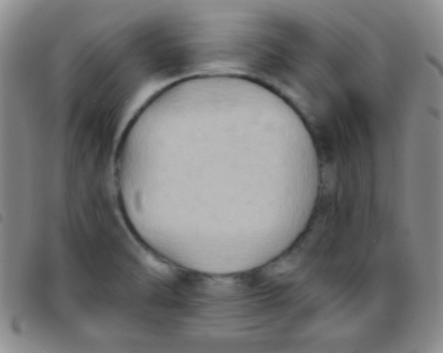 X0000097481470200803141924