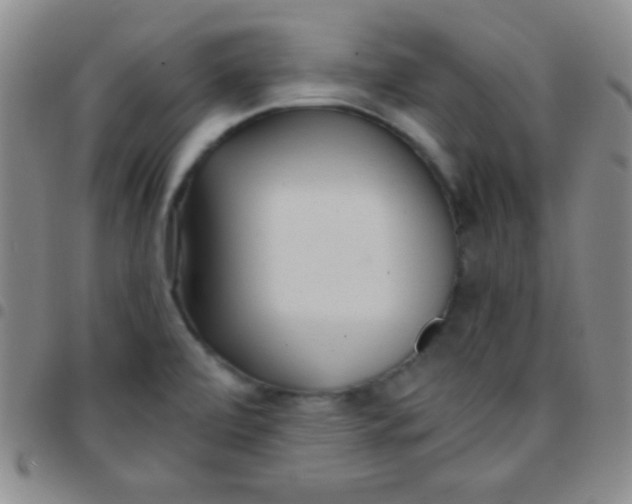 X0000097481472200803141924