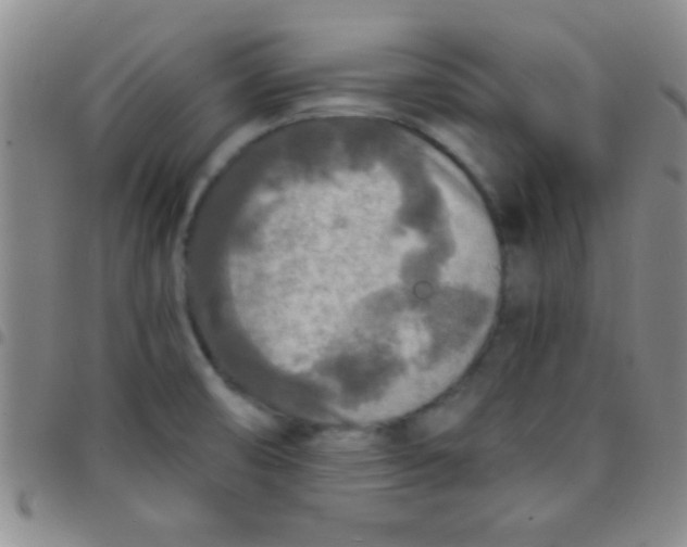 X0000097481474200803141924