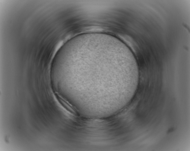 X0000097481475200803141924