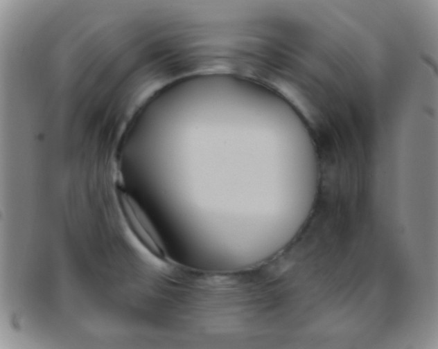 X0000097481476200803141924