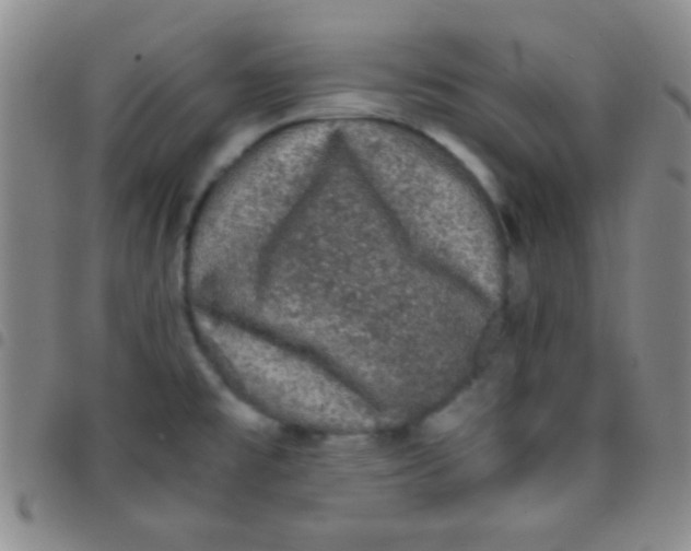 X0000097481477200803141924