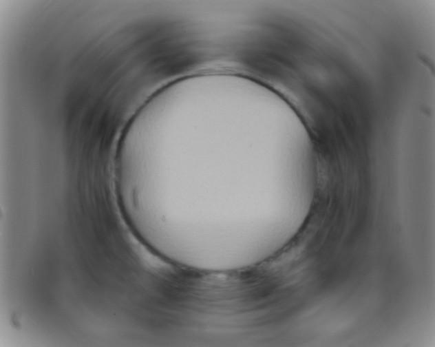 X0000097481478200803141924