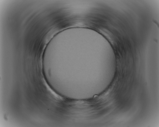 X0000097481479200803141924