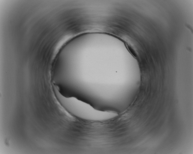 X0000097481480200803141924