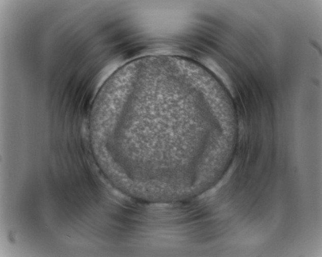 X0000097481481200803141924