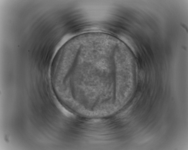 X0000097481482200803141924