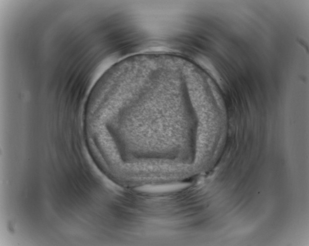 X0000097481483200803141924