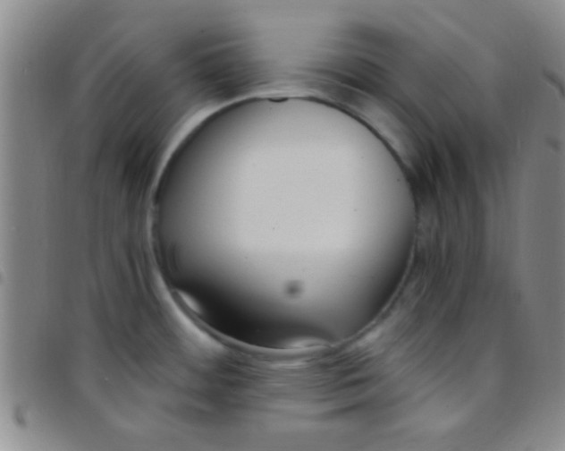 X0000097481484200803141924