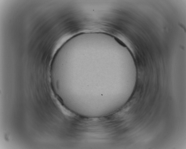 X0000097481485200803141924