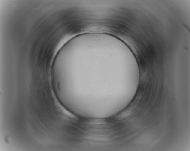 X0000097481486200803141924