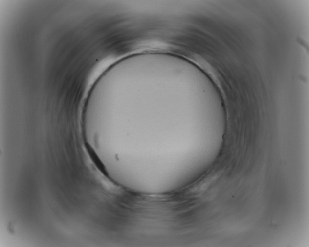 X0000097481488200803141924