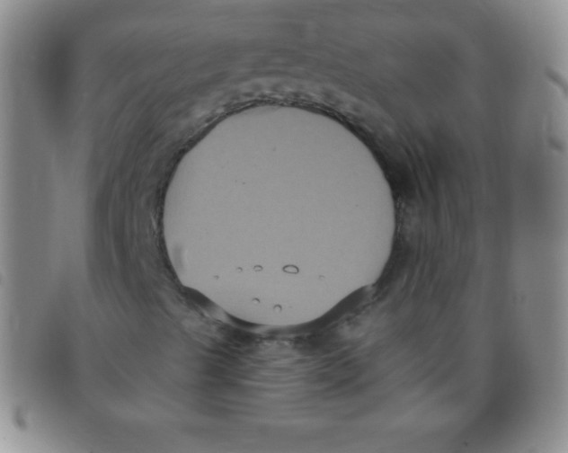 X0000097481489200803141923