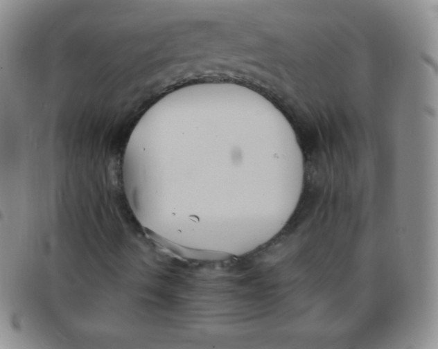 X0000097481490200803141923