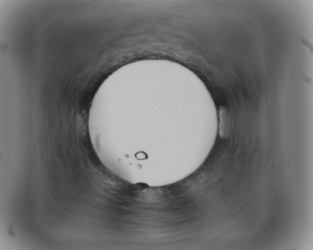 X0000097481491200803141923