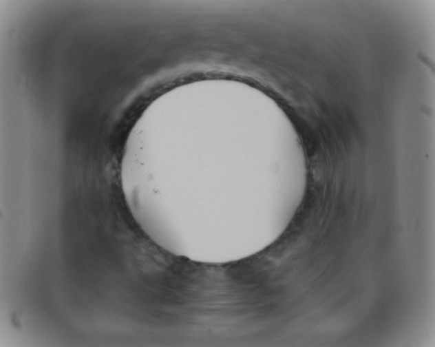 X0000097481495200803141923