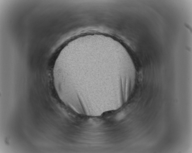 X0000097481496200803141923