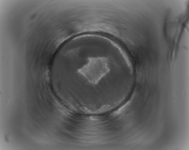 X0000097481497200803141923