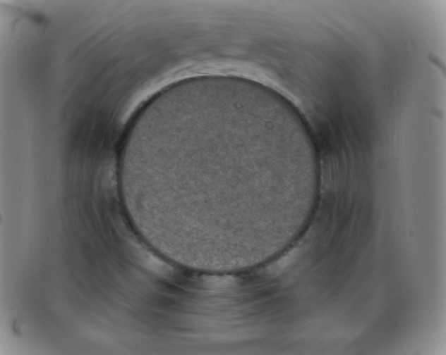 X0000097481498200803141923