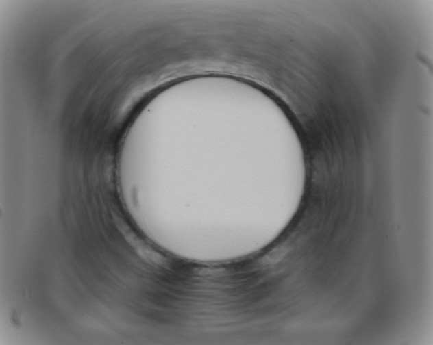 X0000097481499200803141923