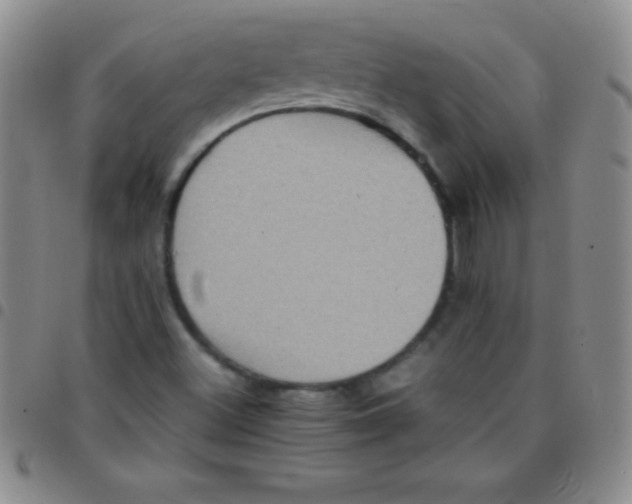 X0000097481500200803141923