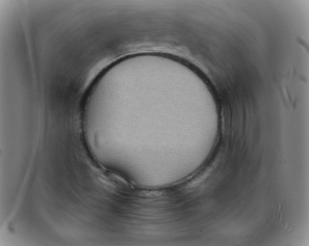 X0000097481501200803141923